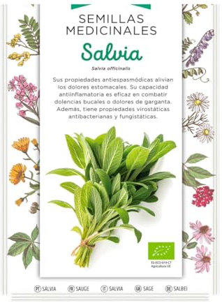 Semillas Medicinales - Salvia - Semillas listos para plantar.