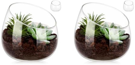 Kisangel Decorative Slanted Glass Bowl Vase Plant Terrarium Cut Bowl for Indoor Succulent Planting Small Plant Pots for Home Centerpieces Gardens
