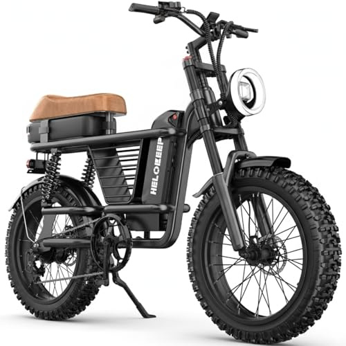 GLOBALKEEP 750W Utility Electric Cargo Bike for Adults, 20 Fat Tire Ebike with Center-Gravity Mid-Frame Basket, 48V 15.6Ah Battery, Dual Suspension City Commuter, UL 2849 Certified, Step-Thru