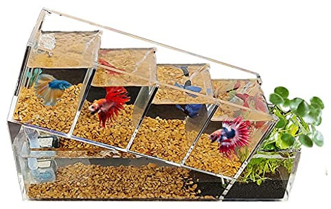 luckxuan Aquarium Kreative Betta-Fischtank-Acryl-Desktop- Kleine Fischtank-Multi-Zellen-Self-Zirkulationsfilter- Filterwasserfreie ökologische Tanks Aquarien