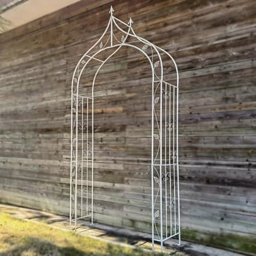 Arche de jardin pour plantes grimpantes, treillage en acier, pergola, arche de mariage pour cérémonie, fête, tonnelle extérieure pour jardin, pelouse (blanc)