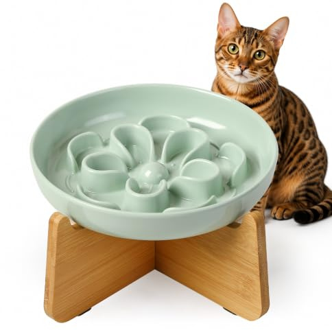 Gamelle Anti Glouton Chat Surélevée - Gamelle Mélamine avec Support en Bambou Antidérapant - Bol Chat pour Alimentation Lente - Motif Labyrinthe Floral - Vert