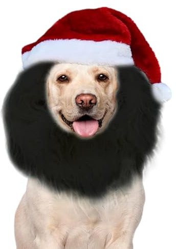 Sghtil Weihnachtsmütze für Katzen | Lustige Weihnachtsmütze Und - Haustierkostüm Für Winterurlaub Geburtstage Familie Kinder Mädchen Festliche Anlässe