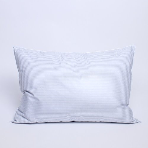 Oreiller Plume Dodo 50 x 70