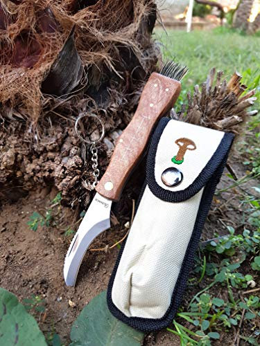 Albainox Coltello Funghi con Spazzola Coltello per Raccolta Funghi Porcini cardoncelli Tartufo con Lama in Acciaio Inox con Custodia
