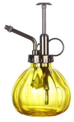 PRETYZOOM 1stk Wasserkrug Aus Glas Terrarienpflanzen Zimmerpflanzen Antikes Pumpsprüher Für Den Garten Sprühflasche Gießkanne Drinnen Gießkanne Aus Glas Gartenspritze Anlage Ornamente