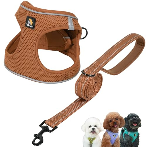 BELLA & PAL Ensemble harnais et laisse pour chien - Harnais pour chiot - En maille respirante avec bandes réfléchissantes - Gilet anti-traction pour chiots/chiens de très petite taille, mocha, M