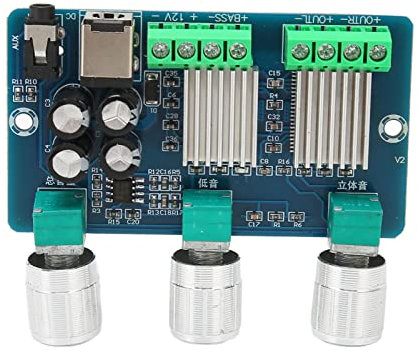Gavigain Digital Power Amplifier Board,Sound Amplifier Board,Digital Power Amplifier Board DC 12V 2.1 Channel Stereo Digital Subwoofer Power Amplifier Board
