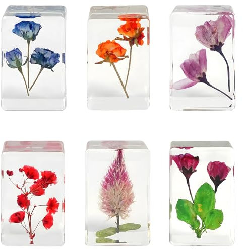 Briefbeschwerer aus Kunstharz, gepresste Blume, transparent, getrocknete Blumen, dekorative Harzblöcke für Büro, Schreibtisch und Geschenk, 6 Stück