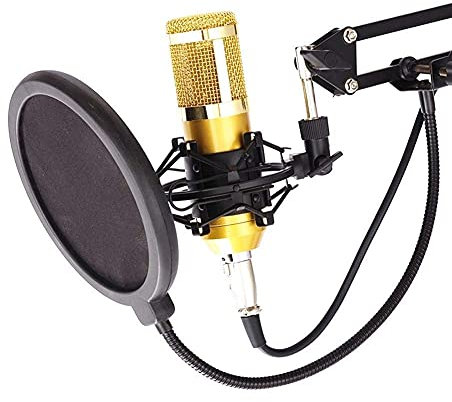 Samnuerly Set Microfono a condensatore USB con Cavo e Scheda Audio per cantare Streaming Live su Computer Smartphone