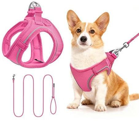 Hundegeschirr mit Leine 255cm M Set, Reflektierend (Rosé) | Brustgeschirr Für Mittelgroße Hunde, Atmungsaktives Mesh Gewebe, Anti-Ausbruch, Spaziergang