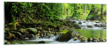 Panorama Bilder auf Glas Stream Wald Natur Glasbild 140x50cm Wandbilder Dekoration Wohnzimmer Schlafzimmer Küche Groß XXL Wanddeko Bild im Glas Wand Kunstdruck Art Modern Wall Decor GAB140x50-0174