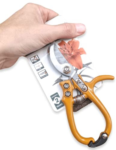 ANTEVIA - Secateur de jardin pour fleur et plante | Ergonomique | PLUS DE 10 MOD | Coupe cisailles jardin Jardinage (Pruner)