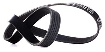 RIDEX 305P0425 Cinghia servizi Cinghia Poly-V Cinghia alternatore Cinghia dei servizi