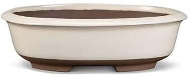 Certrè - Vaso Bonsai Ovale in Gres, Modello Treviso, Made in Italy, Colore Panna (Smaltato)| 25x19x8 cm