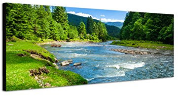 Augenblicke Wandbilder Keilrahmenbild Wandbild 150x50cm Landschaft Wald Wiese Fluss Himmel
