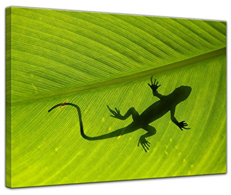 Keilrahmenbild - Gecko - Bild auf Leinwand 120 x 90 cm - Leinwandbilder Bilder als Leinwanddruck Tierbild Natur Gecko auf einem grünen Blatt