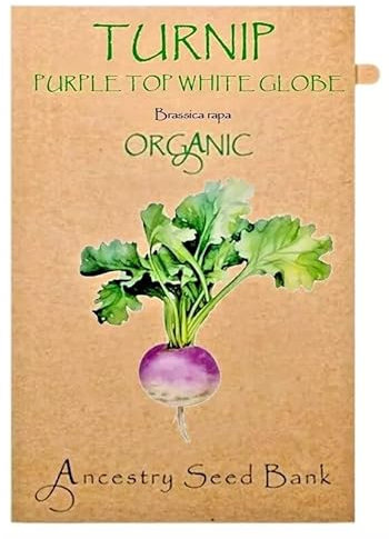 Organic Turnip ❁ Purple Top White Globe ❁ x150 Seeds Heirloom - Non GMO