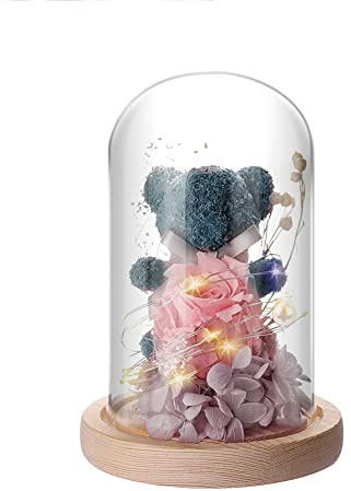 IVEOPPE Evig rosbjörn i glas – rosenbjörn med LED-ljus och träbas, presenter till kvinnor mamma fru flickvän, för mors dag, födelsedag, alla hjärtans dag, bröllop, jul