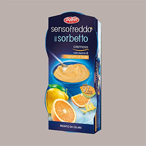 Sorbetto Cremoso alla Frutta Pronto da Gelare al Gusto Agrumi di Sicilia Senso Freddo Dolfin,12 Pezzi da 100 Ml