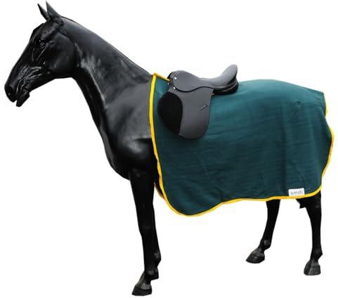 AMKA Nierendecke Galopp