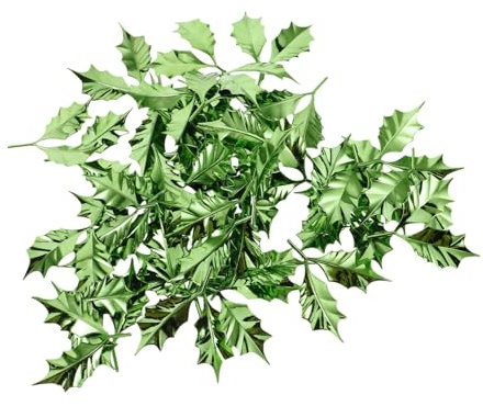 SOLUSTRE 50 Pezzi Foglie Agrifoglio Finte Verdi in Plastica per Decorazioni Natalizie da Te per Ghirlande Addobbi per Natale e Festivi Foglie Verdi Artificiali per Decorazioni Natalizie