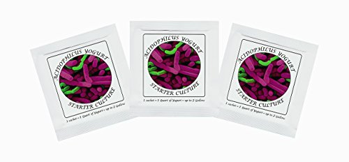 Joghurtferment für Acidophilus-Joghurt – 3 Beutel gefriergetrockneter Starterkulturen