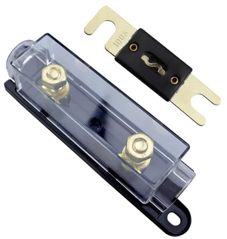 Sicherungshalter, anschraubbare Sicherung, Kfz-Sicherungshalter, Schmelzverbindung mit Sicherung, 40 A, 60 A, 80 A, 100 A, 200 A, 250 A, 300 A, Sicherungen AMP, 1 Stück (Color : 100A)