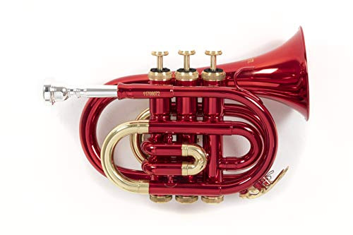 Roy Benson Bb-Taschentrompete PT-101R (Präzise gefertigtes Messingschallstück, goldmessing Mundrohr, premium-Taschentrompete, inkl. schützendem Rechtecketui, mit Rucksackfunktion), Rot