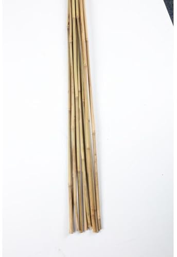 Bambus Stangen 90 cm 10er Set Pflanzenstäbe Rankhilfe Natur Gartenstäbe