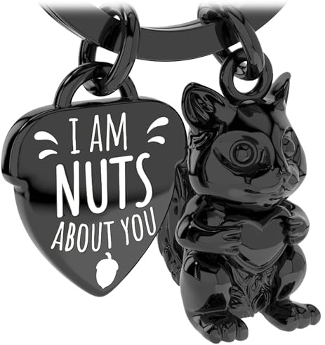 LANOLU Portachiavi scoiattolo Schiaccianoci portafortuna portachiavi partner e per migliore amica, coppia regalo amico in metallo, Nero