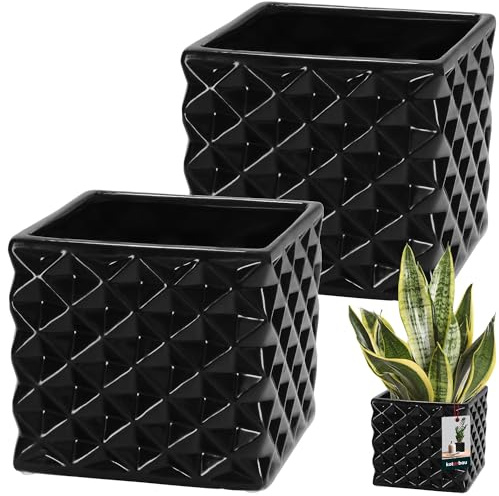 KOTARBAU® 2er Set Blumentopf Keramik glasiert Quadratisch Schwarz 14 x 14 cm H 13 cm Übertöpfe für Zimmerpflanzen Orchideen & Sukkulenten Topf Pflanzen Töpfe Blumen Übertopf Blumentopf viereckig