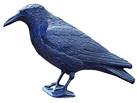 OASE 43335 Tiere Rabe sitzend, schwarz - Dekoration | Deko | Gartendekoration | Vogelabwehr | Taubenabwehr | Teichdeko