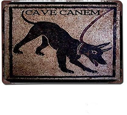 Vintage Stylish Cave Canem Garage Home Cartello In Metallo Divertenti Targa In Metallo Vintage Targa In Latta Per Pub Casa Club 20X30Cm