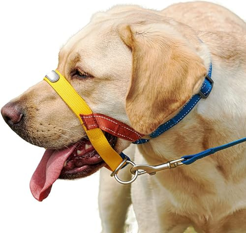 LokoRi Collar Halsband für Hunde, Erziehungshalsband liebevoll, Hundehalfter, Verhindert, DASS Ihr Hund an der Leine zieht, Einfache Anpassung und Benutzung (2)