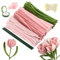Joyblossom Pfeifenreiniger Blumen Set, 300 Stück Pfeifenputzer zum Basteln, Pfeifenreiniger zum Basteln, mit Blumendraht, Schleifenband, Blumen Staubblatt für Blumenstrauß DIY Basteln, Rosa