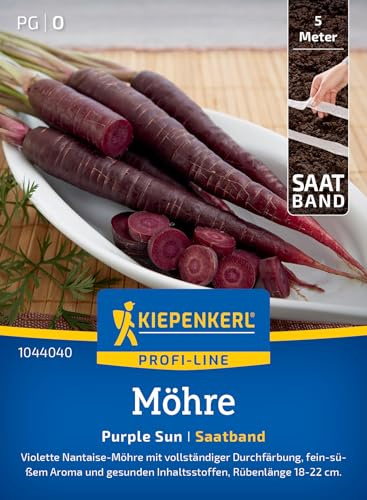 Kiepenkerl Möhrensamen Purple Sun 1044040, Gemüsesaat | Leuchtend violette Möhren für bunte Gartenvielfalt, hoher Anthocyan-Gehalt, für Freilandanbau