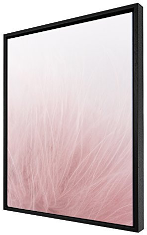 Bildershop-24 Schattenfugenrahmen Set Hamburg Schwarz (matt) mit Keilrahmen Leinwand Bild Druck Motiv: Feder Rosa 2 70x100cm