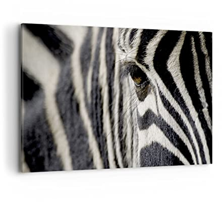 ARTTOR Bilder auf Leinwand 120x80cm Wandbild Schwarz-Weiß Natur - 2195 | Rippchen Wildschwein Groß XXL Wanddekoration Wohnzimmer Schlafzimmer Wanddeko Wand Kunstdruck Wandkunst Wall Decor ARTTOR