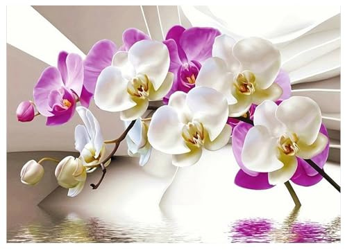 DCIDBEI Diamond Painting Orchidee 40x30cm DIY Diamantmalerei malen nach Zahlen Künstlich Groß Daiments Stickerei Kreuzstich Set Erwachsene Mosaik