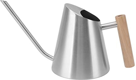 QANYEGN Vattenkanna, vattenkanna för inomhusväxter i rostfritt stål, lång pip Vattenkanna med trähandtag för trädgårdsbonsai inomhus utomhus (Silver)