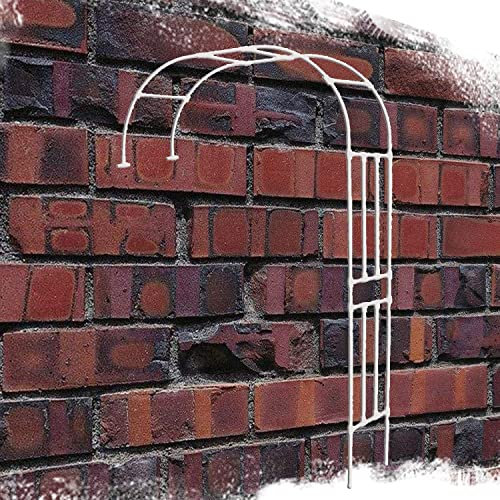 DJZZ Halb-rosenbogen halbrund Gartenbogen Weiss/Schwarz Wandmontage Rankhilfe Rosengestell Rost Metall stabil (Color : Weiß, Size : 280x40x240cm)