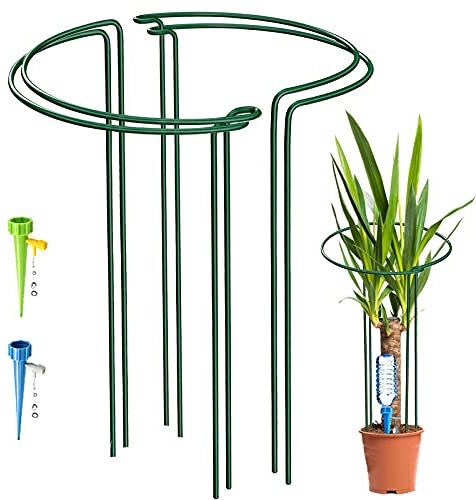 KAZITOO 4 Stück große 60cm hohe Bogen Pflanze Stützpfähle, 4mm starker Metallgarten unterstützt grüne halbrunde Blume Reifen mit 2 Selbst Gießspitzen für Pfingstrosen, Hortensien, Monstera(60x30cm)