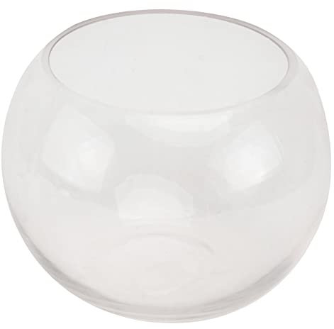 Hydroponic Planter Terrarium Plants Plant Propagation Glass Vases Air Planter Holder Hydroponics Flower Pot Round Terrarium Globe Table Top Decor Simple and Stylish Orchid Pot