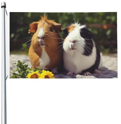 Drapeau de cour double face de 0,9 x 1,5 m pour extérieur/intérieur, cochons d'Inde, bannières de bienvenue amusantes pour jardin, maison, vacances, décoration d'intérieur, drapeau de jardin