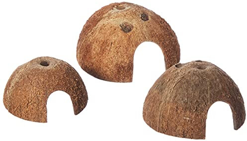 Trixie 76160 Set Kokosnuss Halbschale, Hund, ø 8/10/12 cm, 3 Stück (1er Pack)