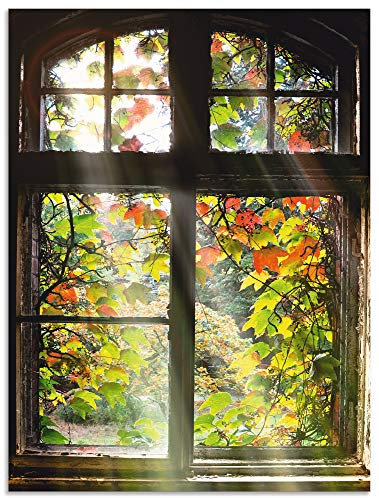 ARTland Wanddeko Wandbild Alu Verbundplatte für Innen & Outdoor Bild 45x60 cm Fensterblick Fenster Herbst Natur Landschaft Altbau Sonne Baum T5XH