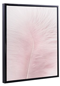 Bildershop-24 Schattenfugenrahmen Set Lemgo Schwarz (Hochglanz) mit Keilrahmen Leinwand Bild Druck Motiv: Feder Rosa 4 50x70cm