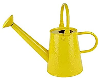 LIOONS Regaderas de jardín Regadera de Metal con Boquilla extraíble Bonita regadera de Acero galvanizado con diseño en Relieve para Plantas de Interior y Exterior práctico