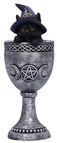 Nemesis Now Coven Tasse, Silber, 15,7 cm